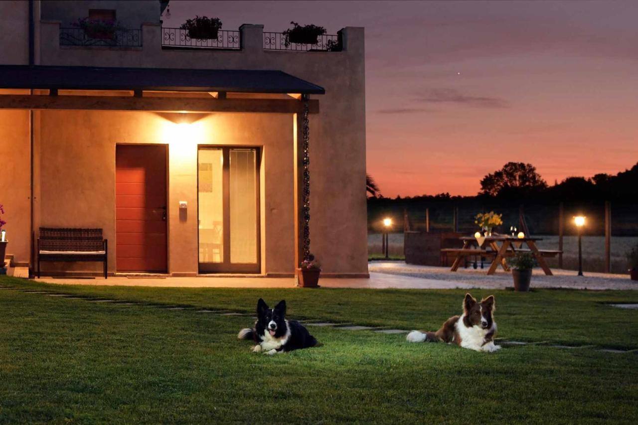 Casa Montefiore 13 Girasoli Lt Nella Tranquilla Campagna Marchigiana Ancona Exteriör bild