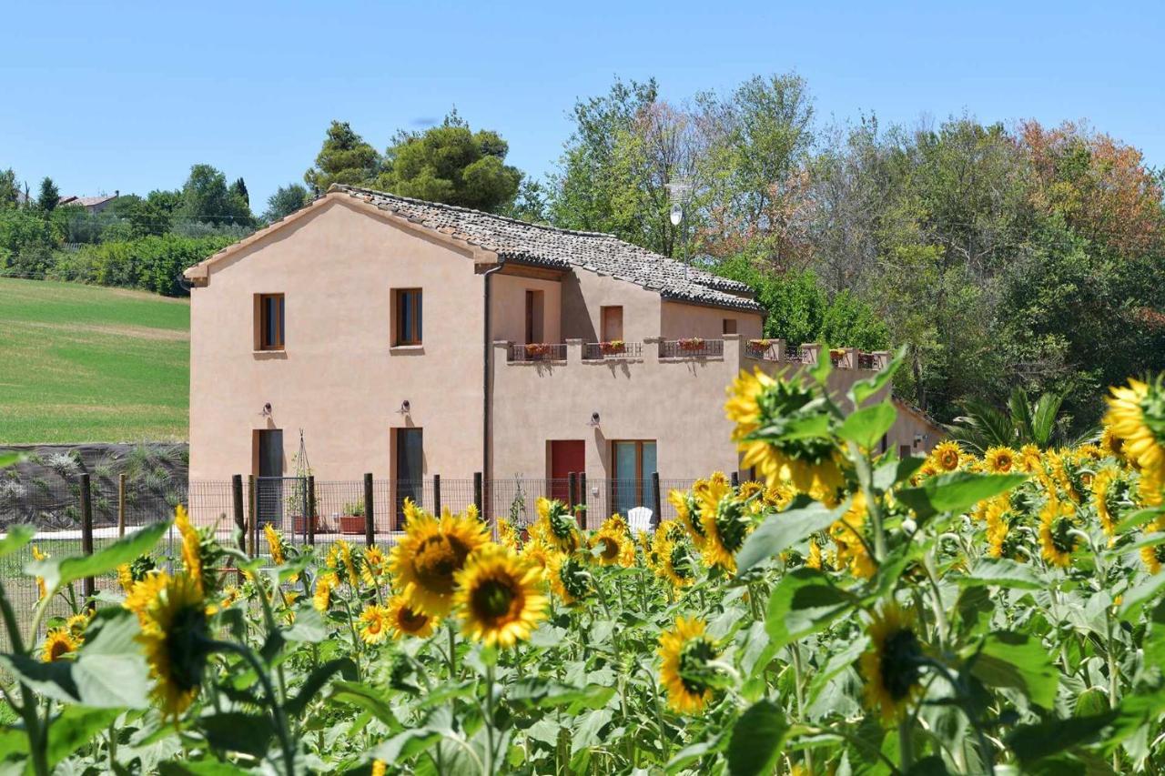 Casa Montefiore 13 Girasoli Lt Nella Tranquilla Campagna Marchigiana Ancona Exteriör bild
