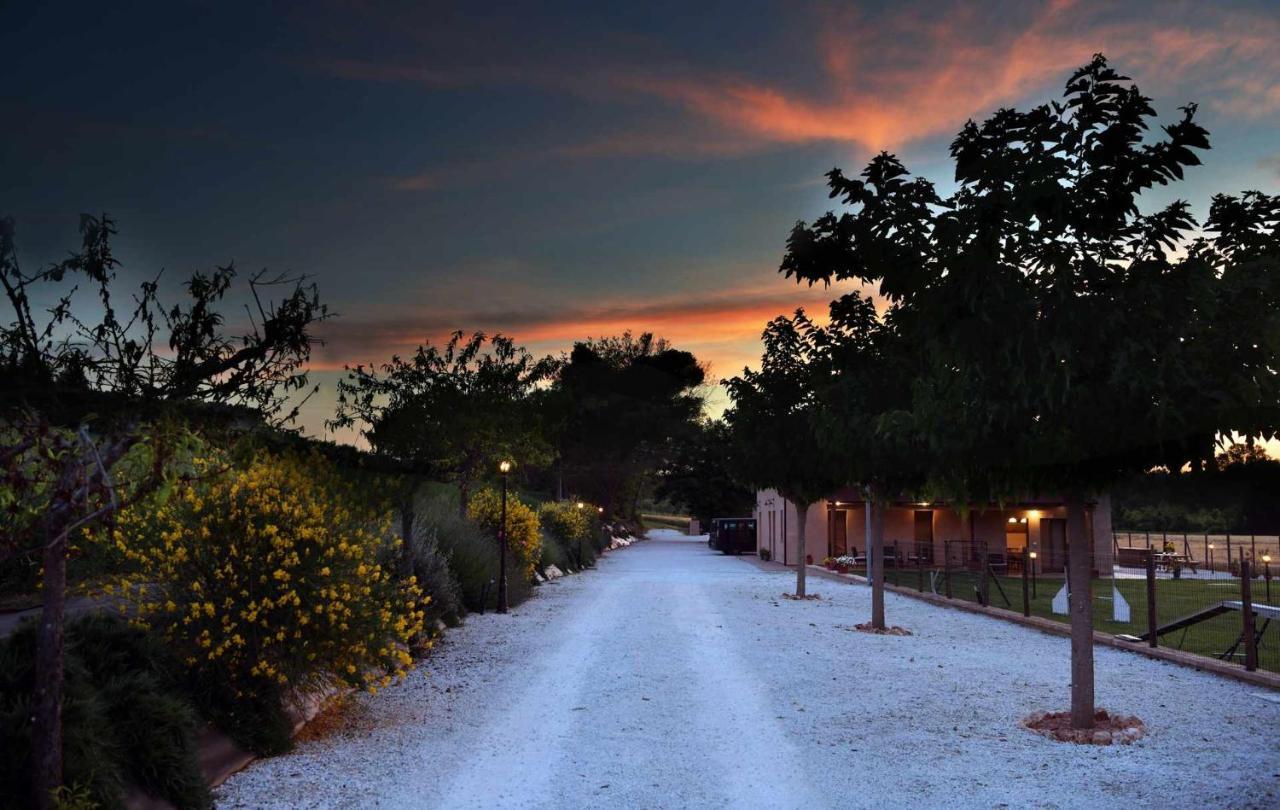 Casa Montefiore 13 Girasoli Lt Nella Tranquilla Campagna Marchigiana Ancona Exteriör bild
