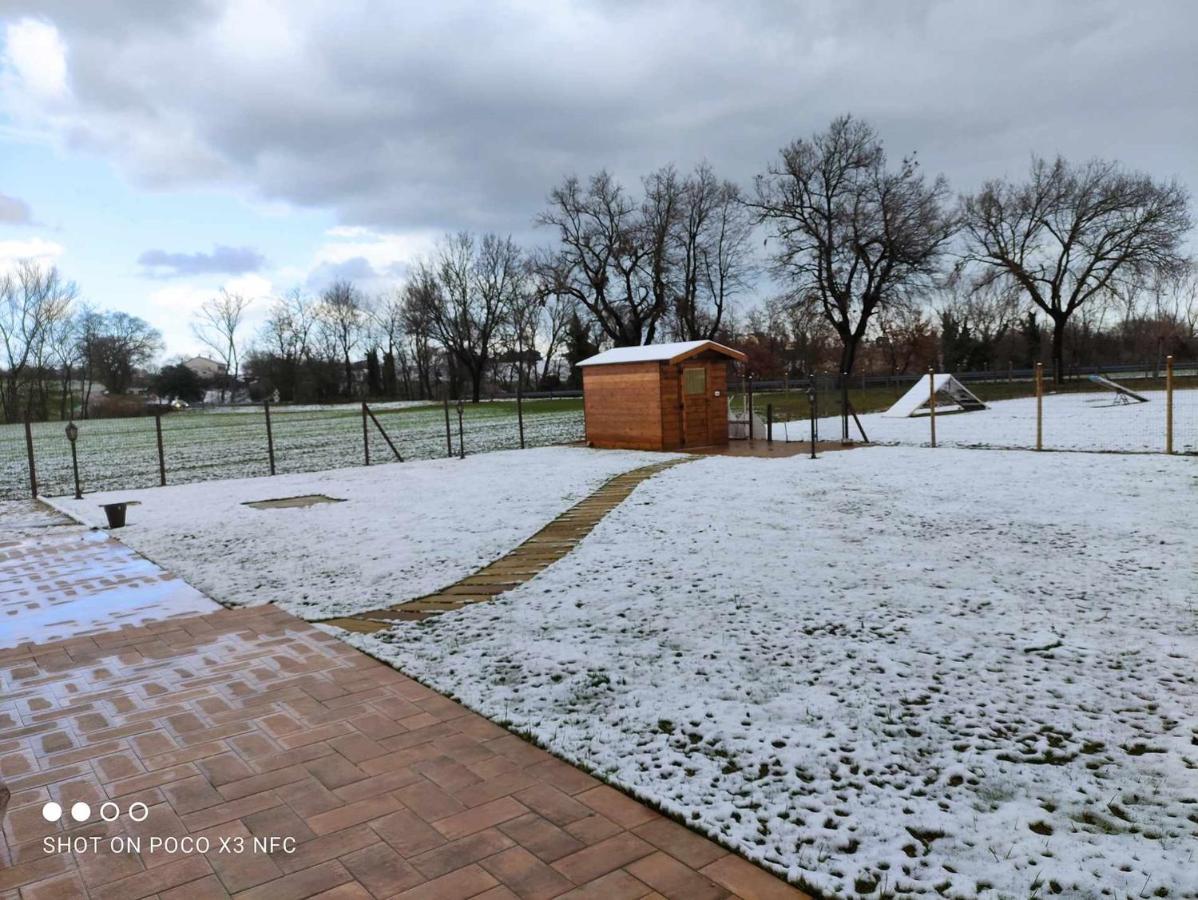 Casa Montefiore 13 Girasoli Lt Nella Tranquilla Campagna Marchigiana Ancona Exteriör bild