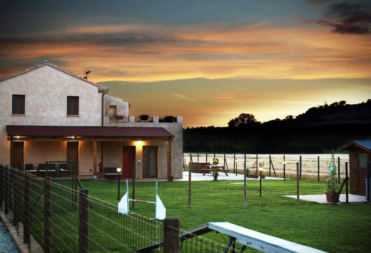 Casa Montefiore 13 Girasoli Lt Nella Tranquilla Campagna Marchigiana Ancona Exteriör bild