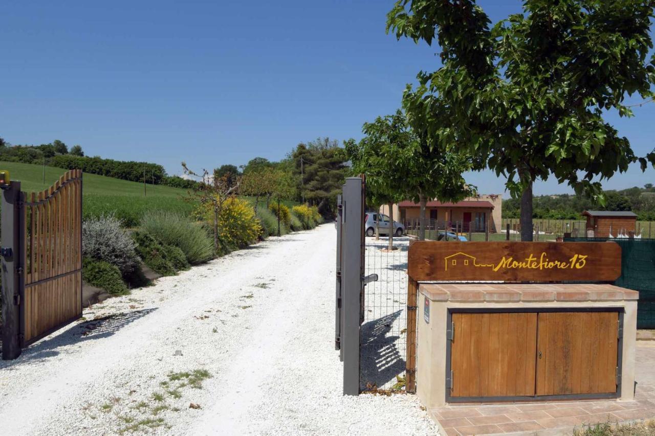Casa Montefiore 13 Girasoli Lt Nella Tranquilla Campagna Marchigiana Ancona Exteriör bild