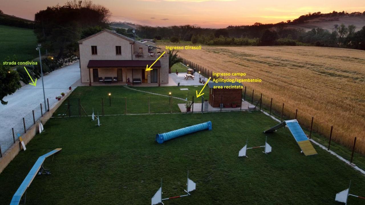 Casa Montefiore 13 Girasoli Lt Nella Tranquilla Campagna Marchigiana Ancona Exteriör bild